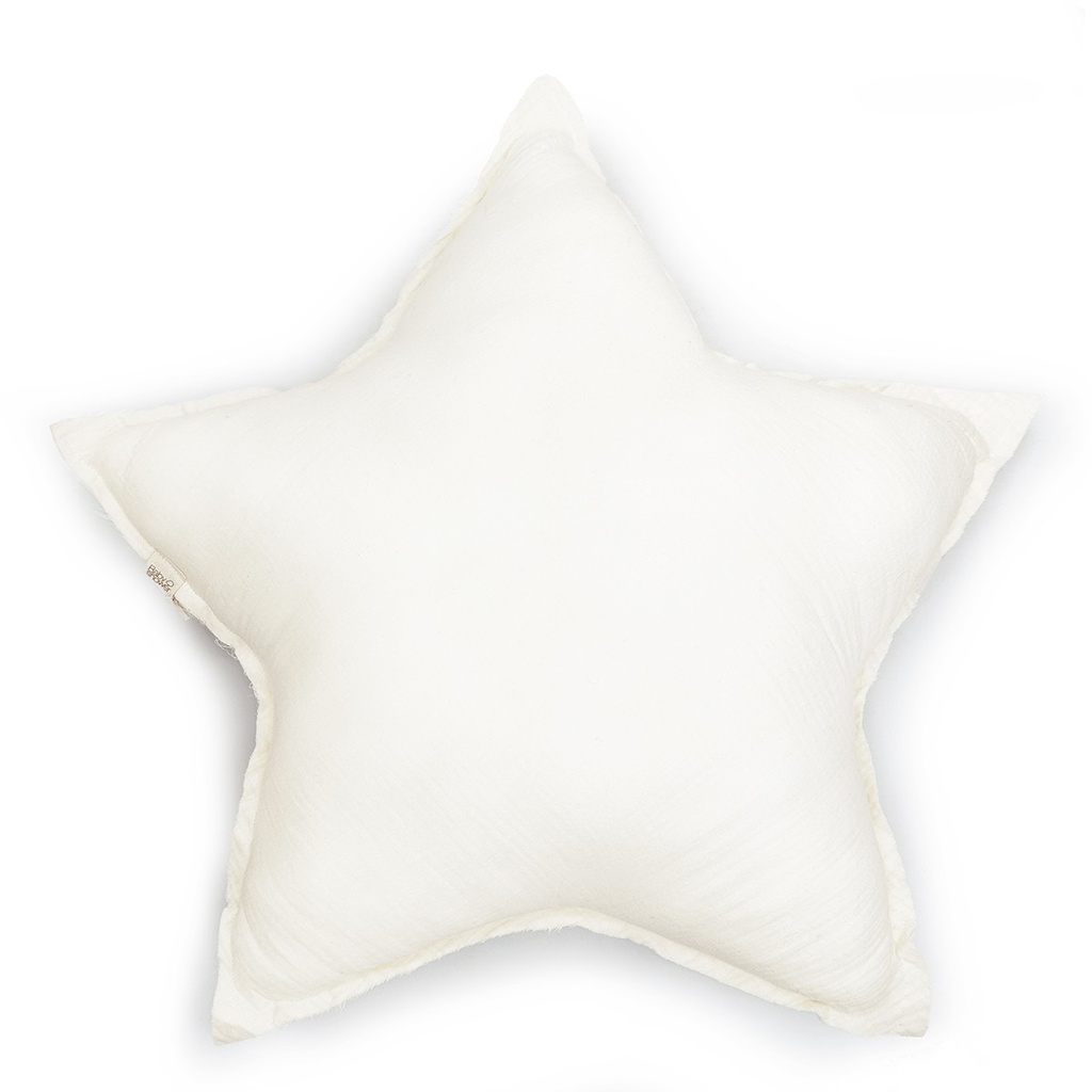 BIGSTAR CUSHION IVORY POWDER