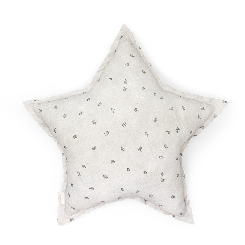 COUSSIN STAR APRICOT