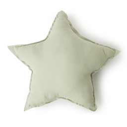 [BIGSSAG] COUSSIN BIGSTAR SAGE POWDER